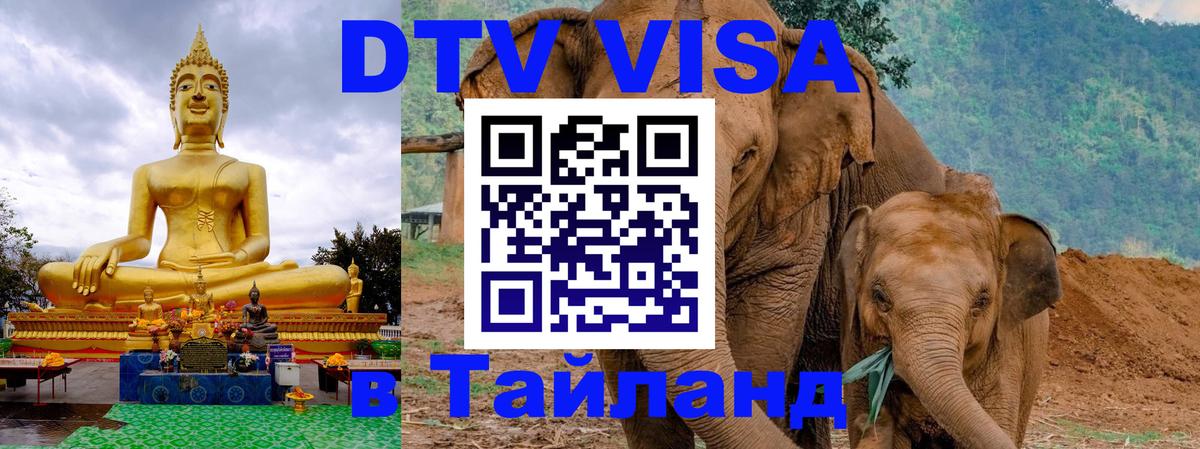 DTV (ДТВ) visa Таиланд 